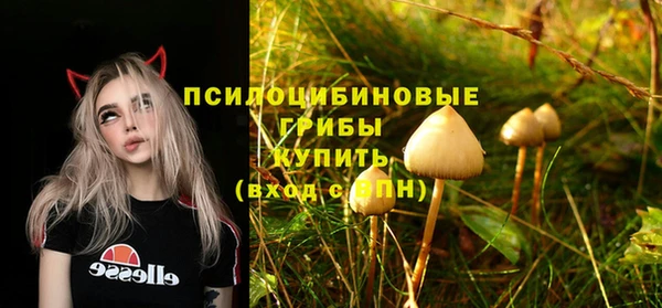 прущий лед Снежногорск